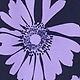 Warm violet
