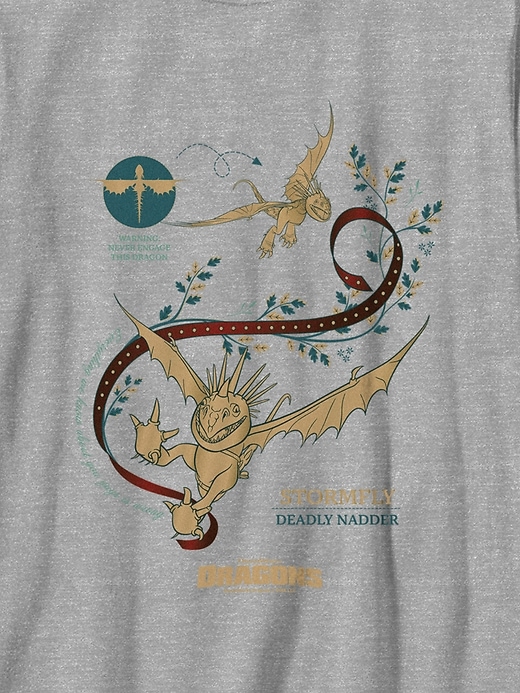 Image number 3 showing, Kids How To Train Your Dragon Stormfly Graphic T-Shirt