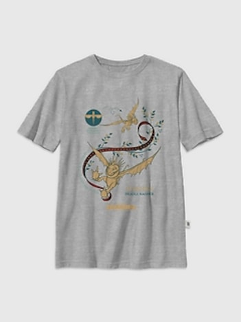Kids How To Train Your Dragon Stormfly Graphic T-Shirt