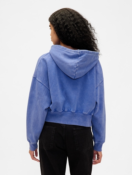 Image number 3 showing, VintageSoft 1969 Logo Zip Hoodie