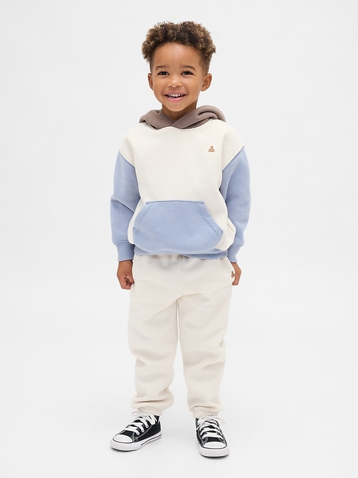 Image number 1 showing, Baby & Toddler VintageSoft Colorblock Hoodie Set