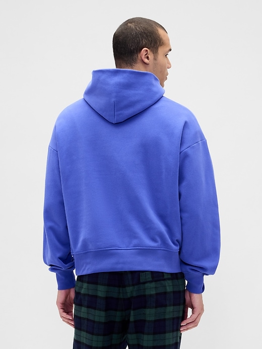 Image number 3 showing, VintageSoft NAP Logo Hoodie
