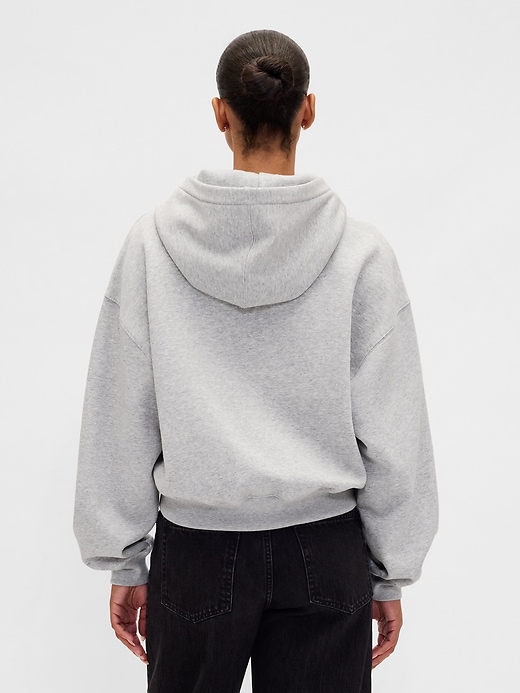 Image number 3 showing, VintageSoft Brannan Bear Logo Crop Hoodie